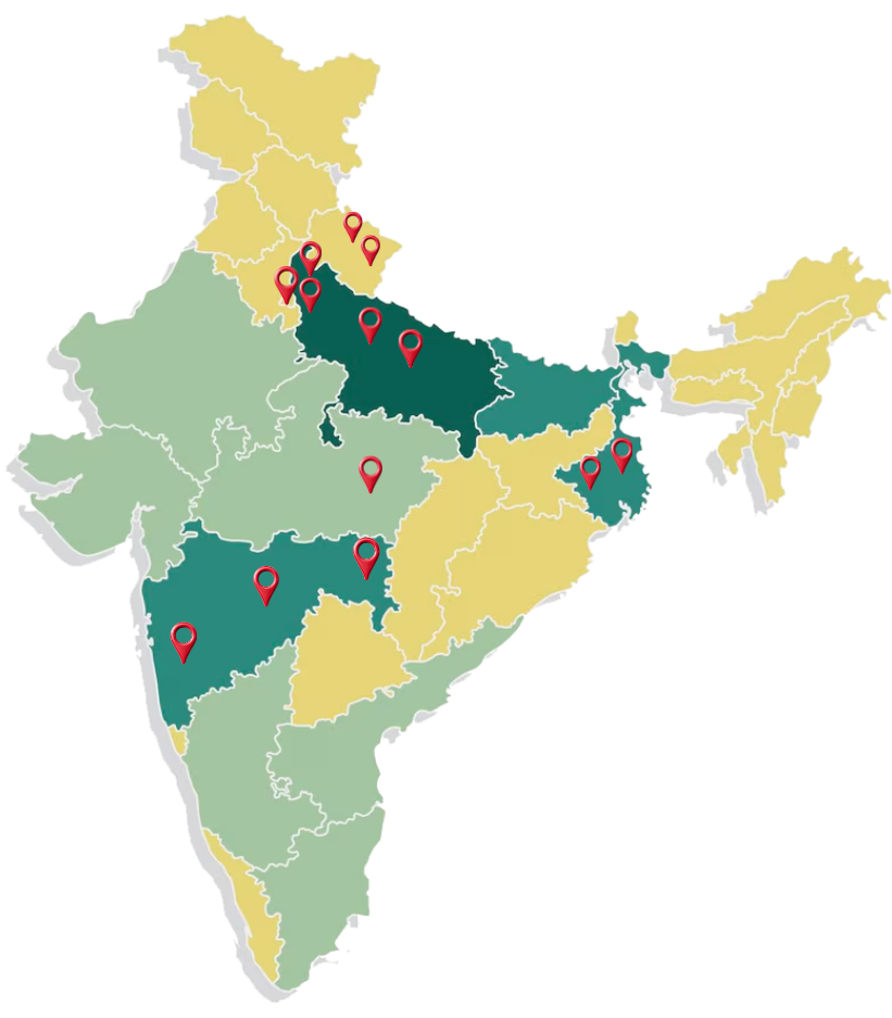 Waste Collection & Management